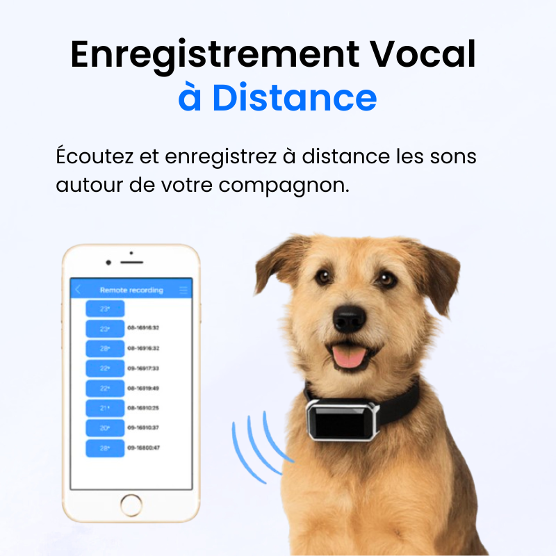 Tag Safe pour Chien Sans Abonnement