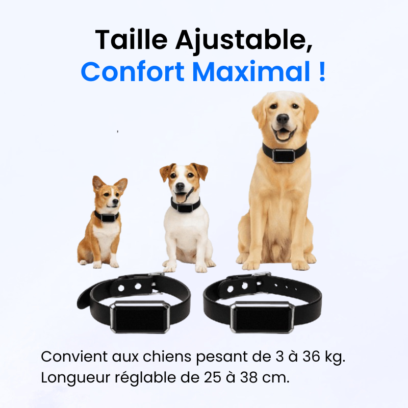 Tag Safe pour Chien Sans Abonnement