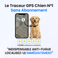 Tag Safe pour Chien Sans Abonnement