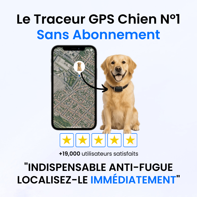 Tag Safe pour Chien Sans Abonnement