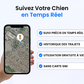 Tag Safe pour Chien Sans Abonnement