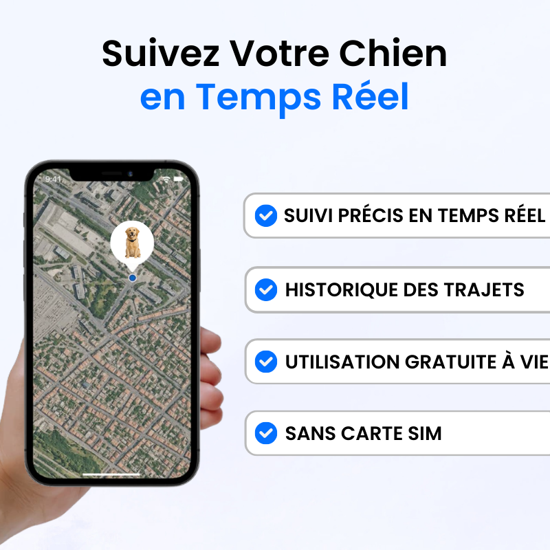Tag Safe pour Chien Sans Abonnement