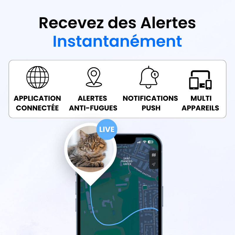 Tag Safe pour Chat Sans Abonnement