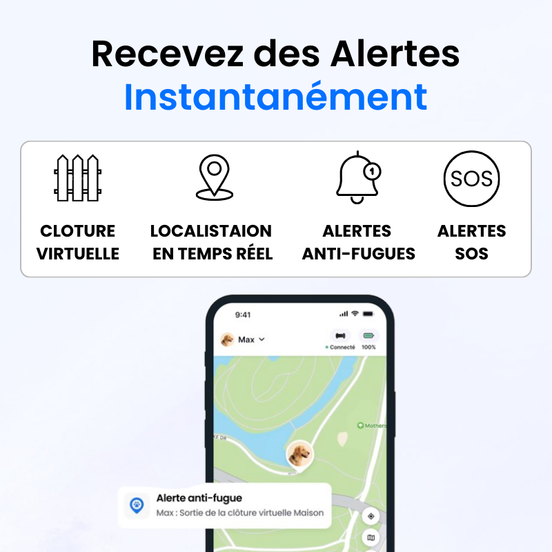 Tag Safe pour Chien Sans Abonnement