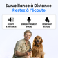 Tag Safe pour Chien Sans Abonnement