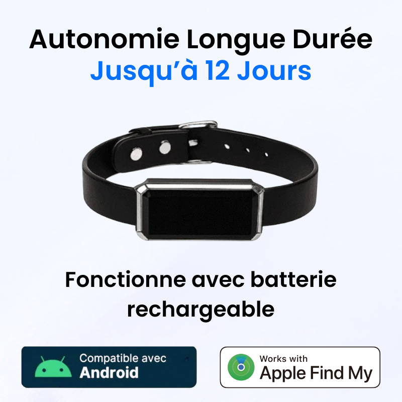 Tag Safe pour Chien Sans Abonnement