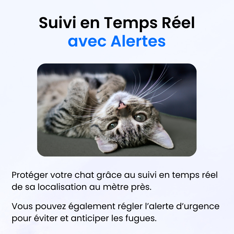 Tag Safe pour Chat Sans Abonnement