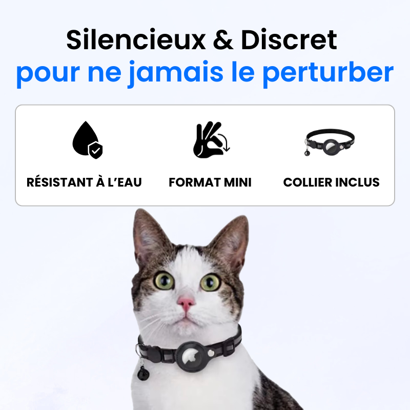 Tag Safe pour Chat Sans Abonnement